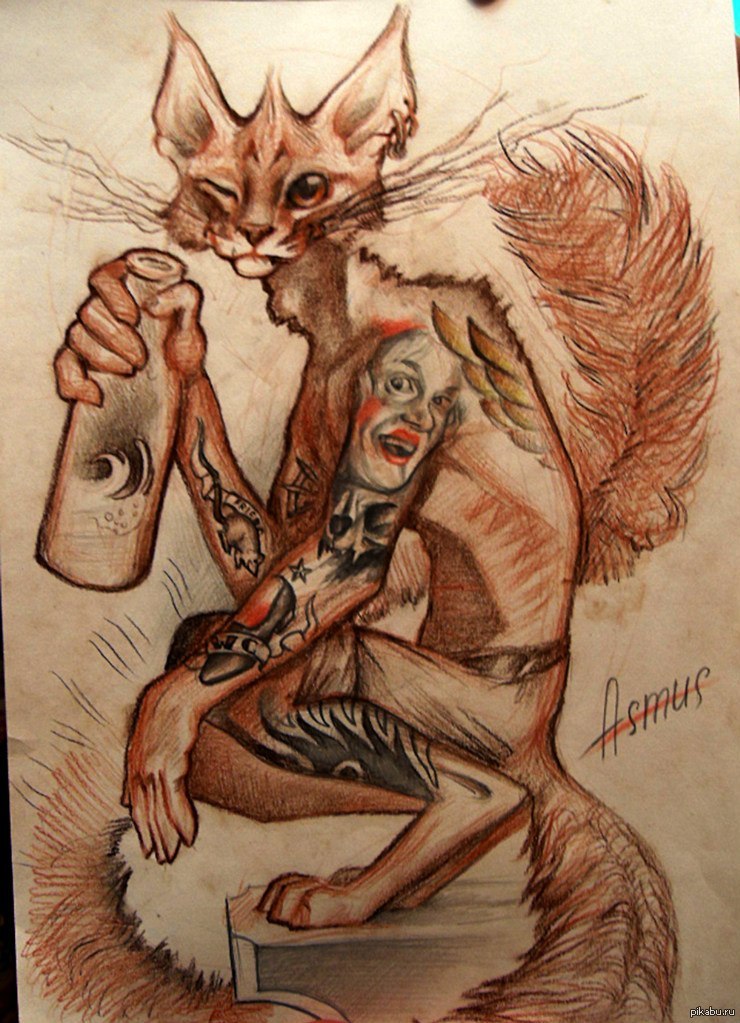 Кот бандит рисунок