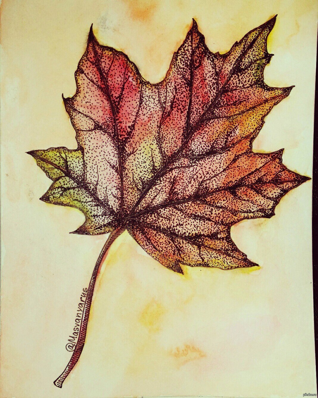 Лист рисунок цветной. Кленовый лист цветными карандашами. Кленовый лист рисунок. Красивые листья деревьев. Осенние листья цветными карандашами.
