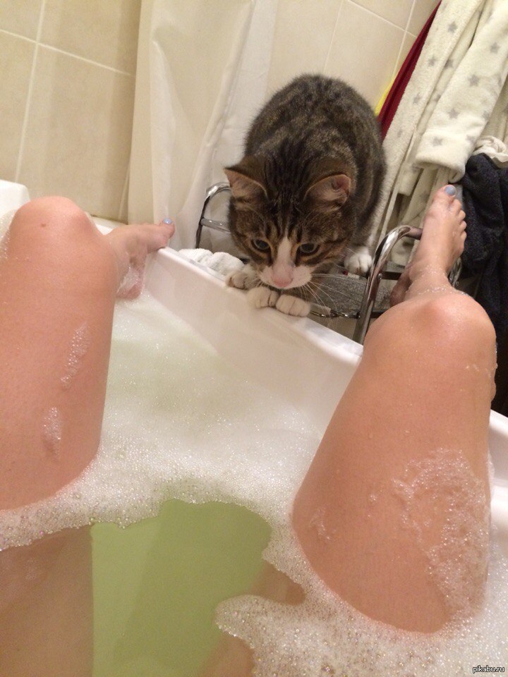 Хорошо потри мою киску. Киски. Красивые киски домашнее. Кошачьи ножки в ванной. Девушки бритая киска в ванне.