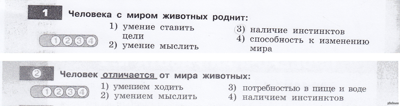 Вопрос по обществознанию 5 класс | Пикабу