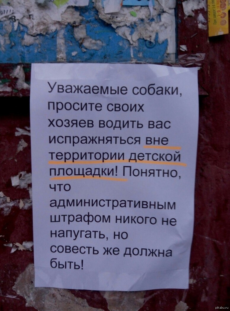 Уважаемые владельцы. Объявления для владельцев собак в подъезде. Объявление для владельцев собак. Обьявлениямдля собачников. Объявление собачникам в подъезде.