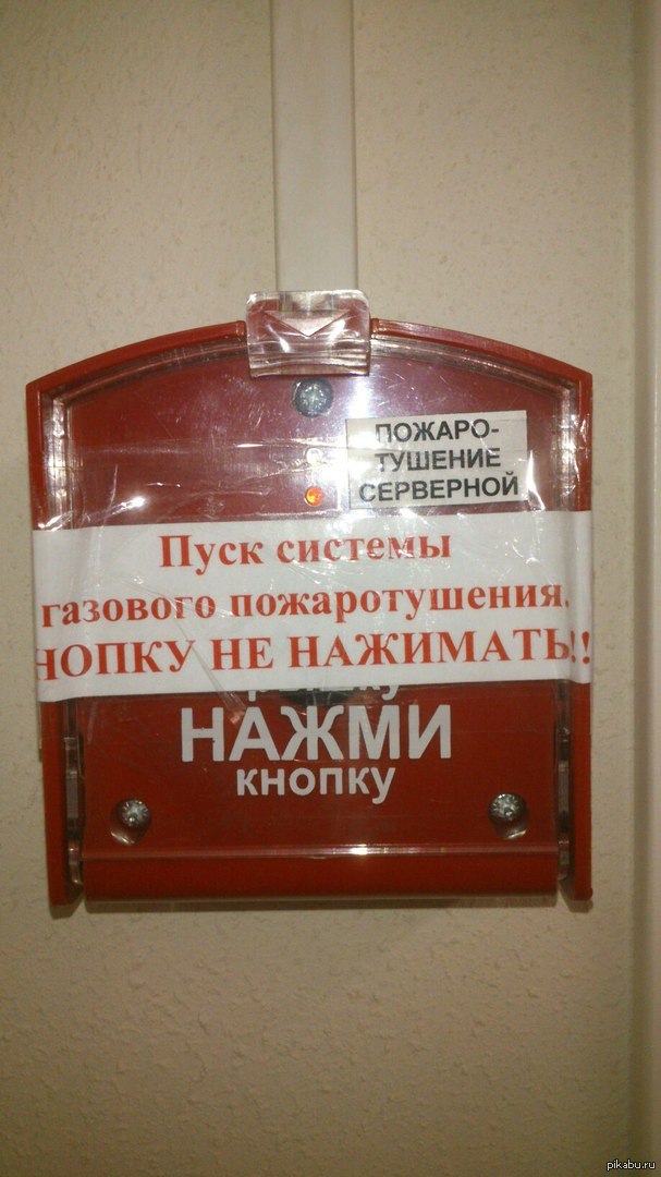 Как быть! Что делать! | Пикабу