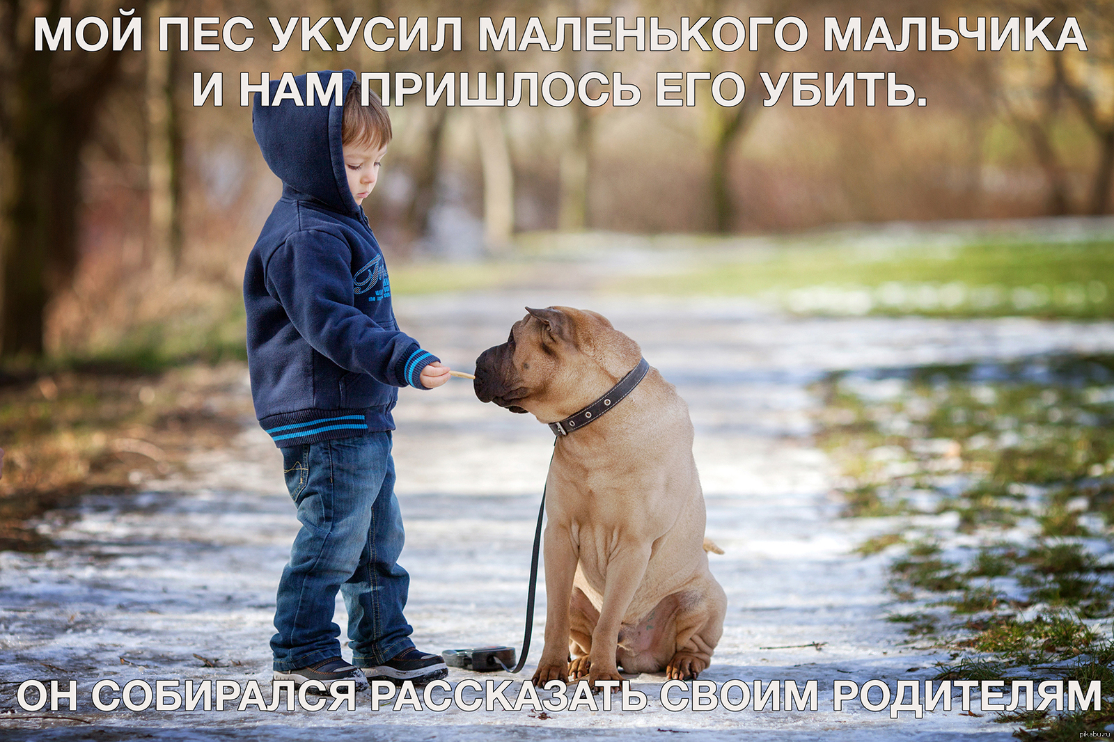 Фото собак мальчиков. Мальчик с собакой. Собака для детей. Мальчик с собакой в парке. Дети с собакой на улице.