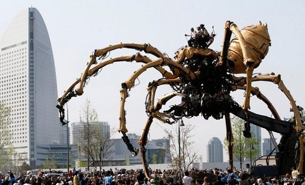 Большой огромный великий. Гигантский паук. Самый огромный паук в мире. Самый гигантский паук в мире.
