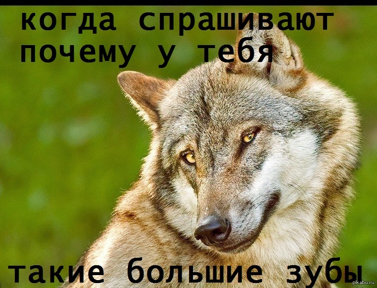 Серенький волчок | Пикабу