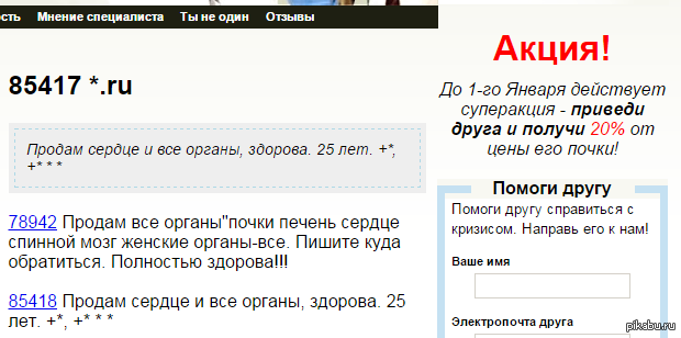 продам почку | Пикабу