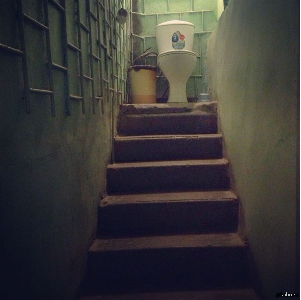Climbing to the white friend - My, Toilet, Stairs, Oddities
