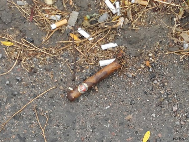 Всем "бычкам" "бычок" | Пикабу