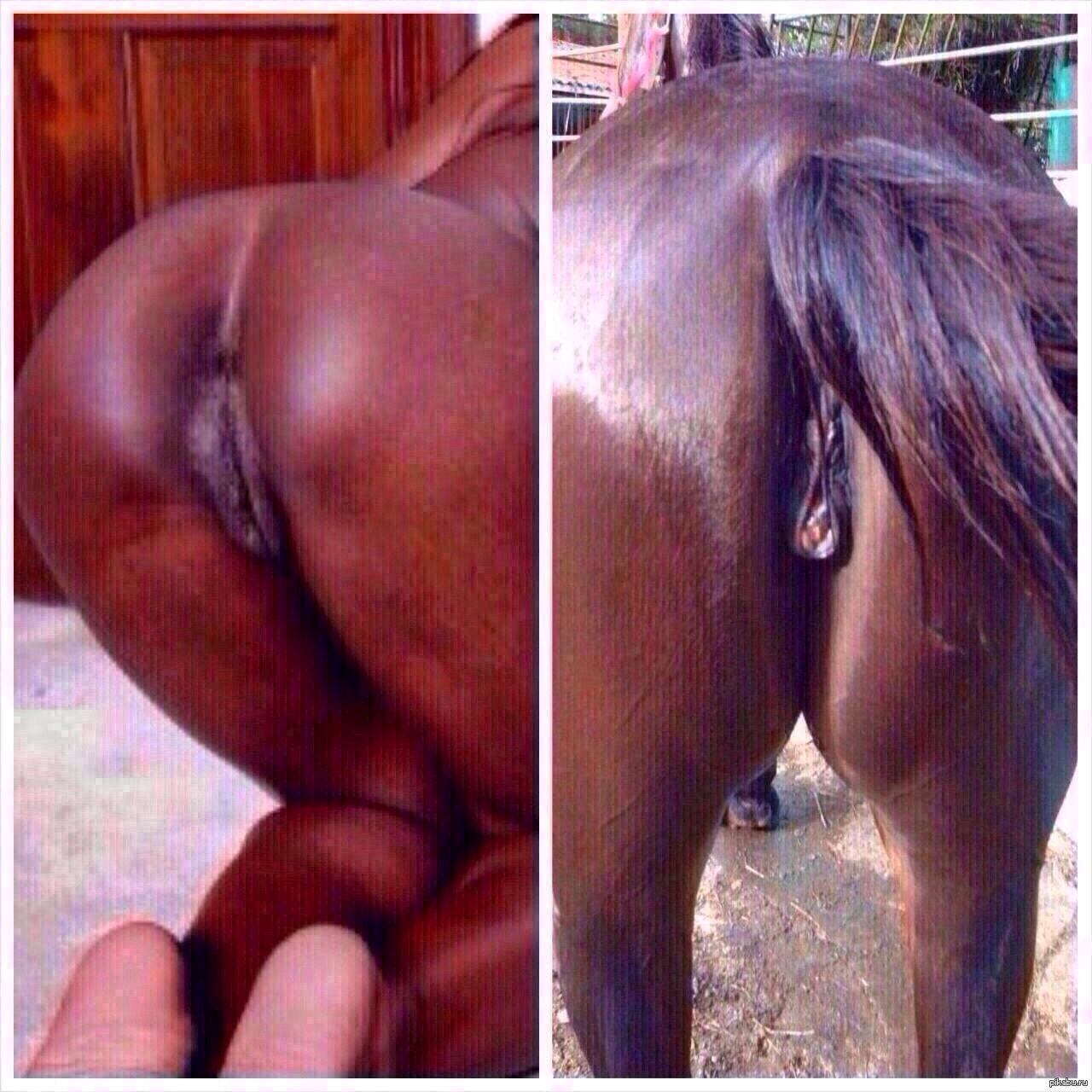 вагина лошади порно фото 103