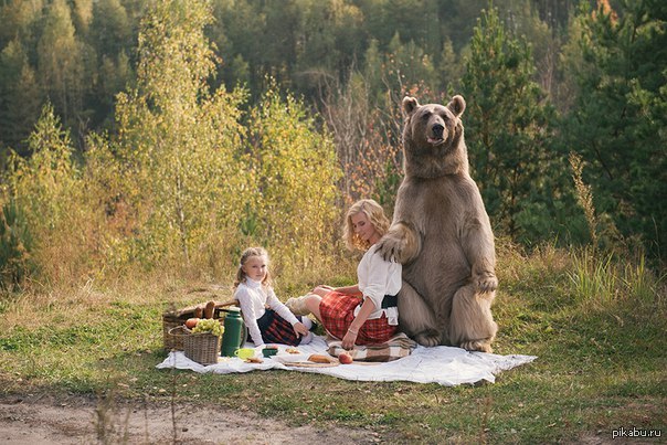 Дружить по русски реклама девочка с медведем. Домашний медведь. Фотосессия с медведем. Медведь отдыхает на природе.