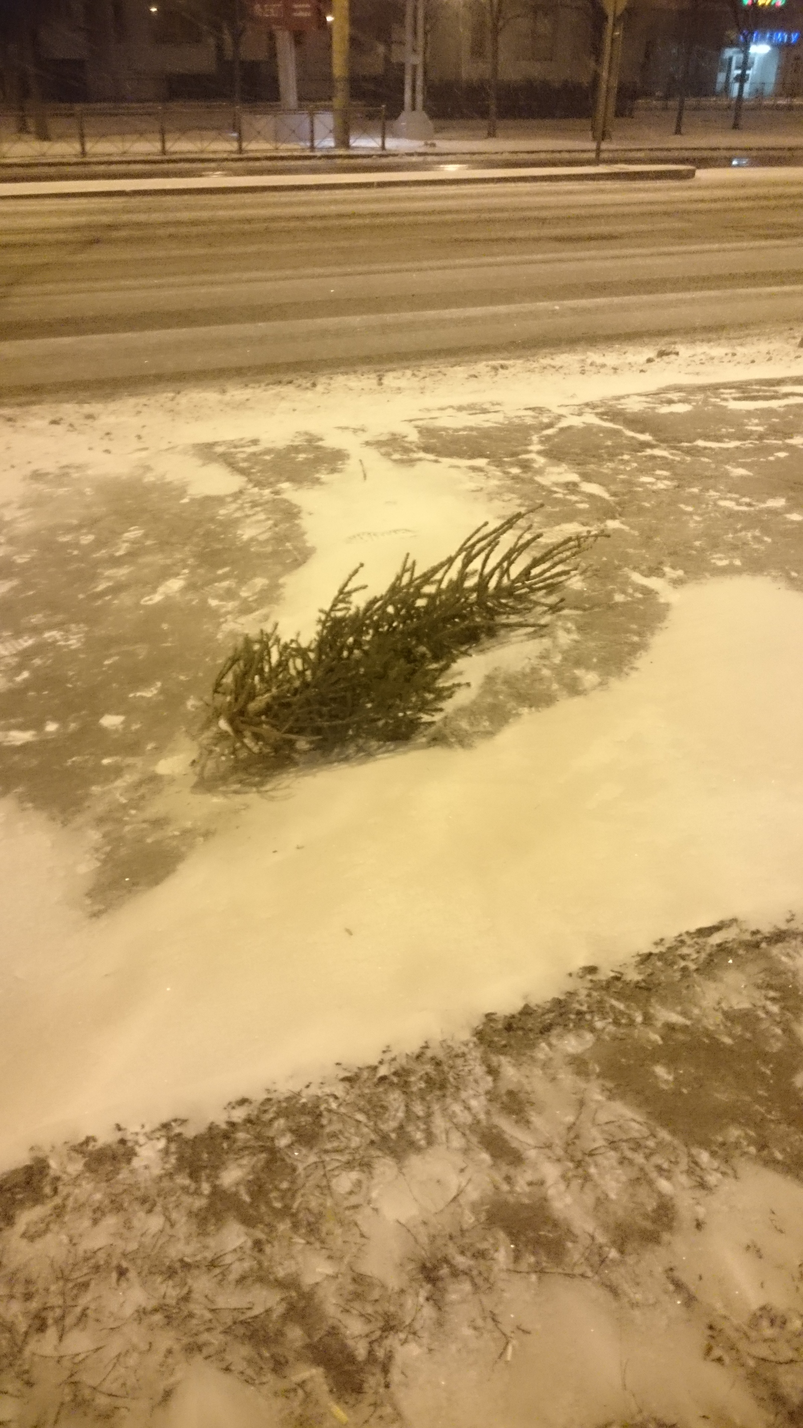 Weakling - NSFW, My, Christmas trees, Gave up, New Year, Saint Petersburg