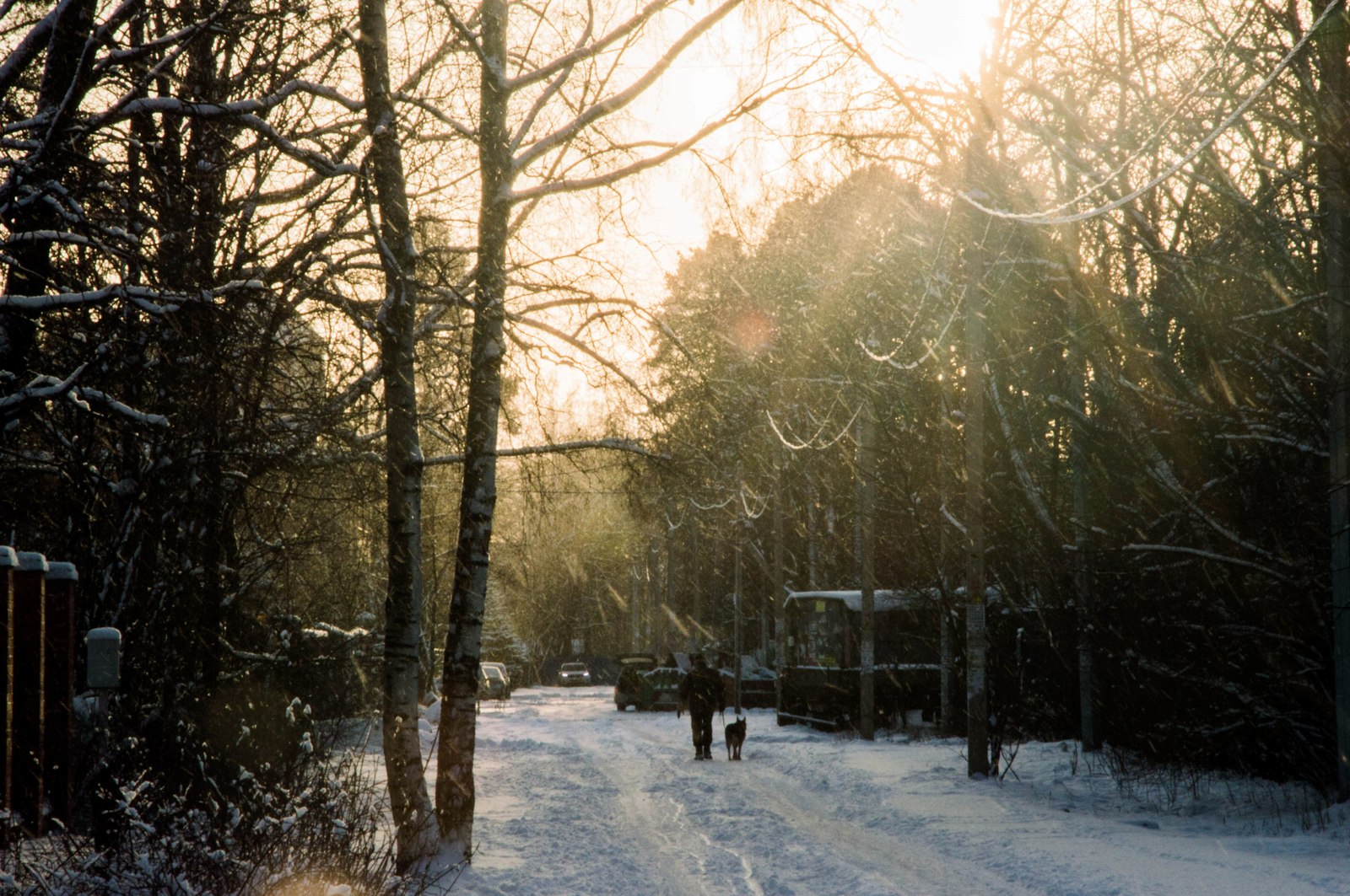 Just Peter - My, Saint Petersburg, Photo, Nikon, January, Longpost