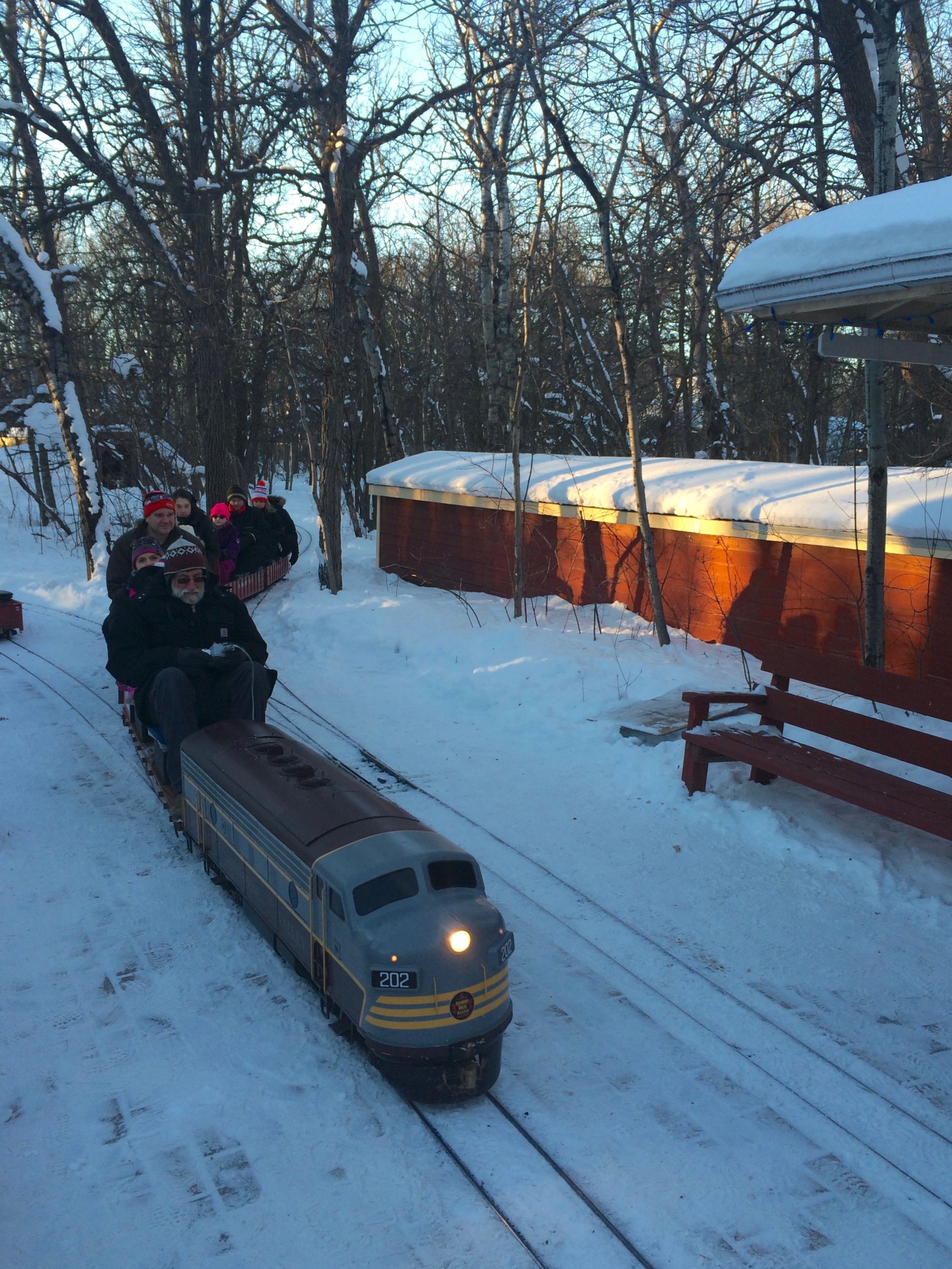 Домашняя железная дорога | Пикабу