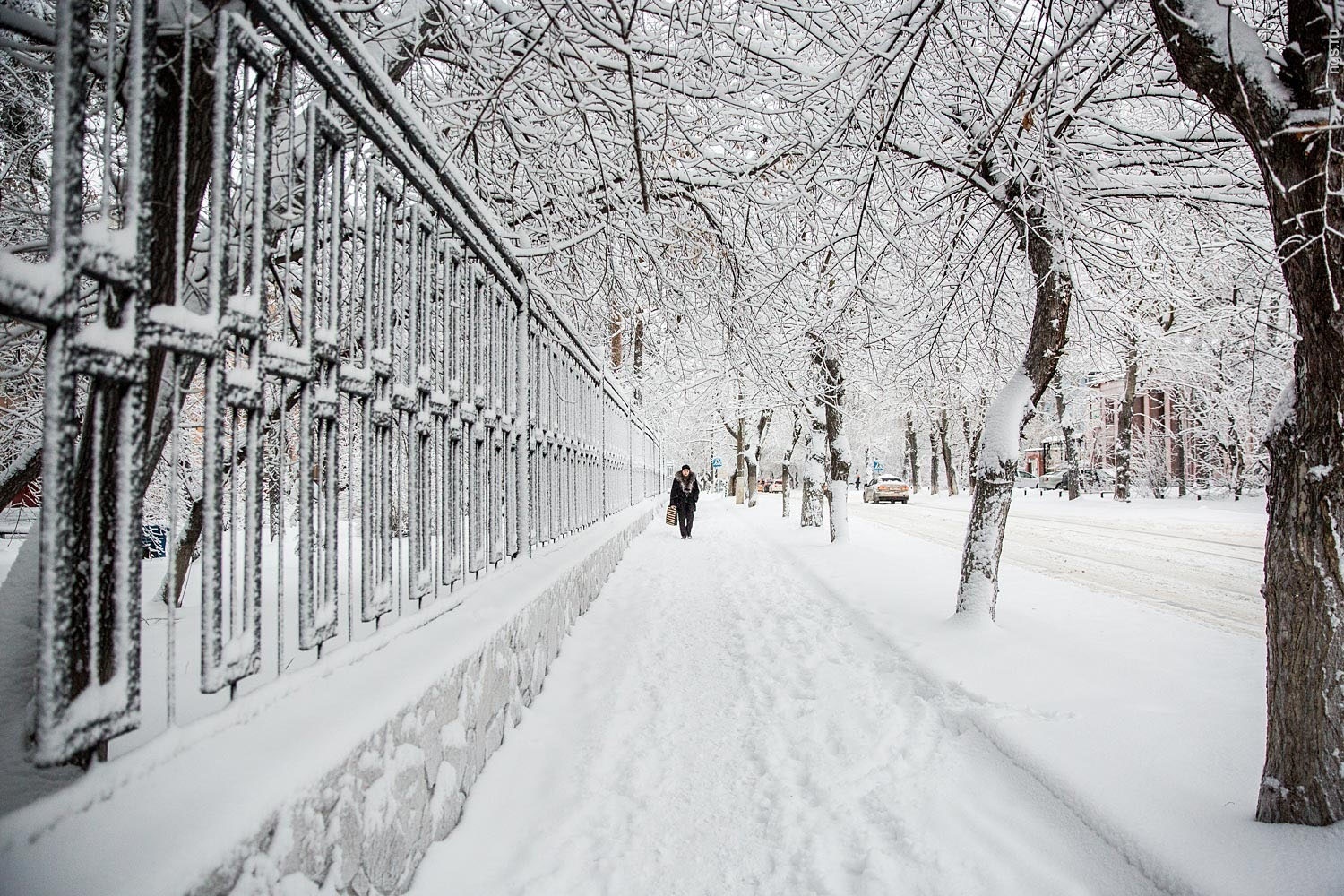 зимний новосибирск фото