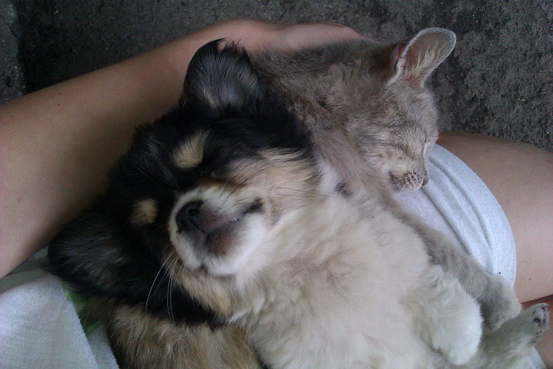 Бубочка) | Пикабу