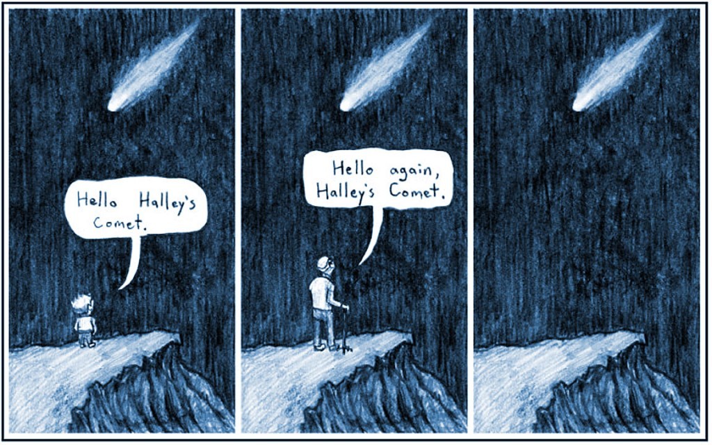 Реферат: Встреча с кометой Галлея