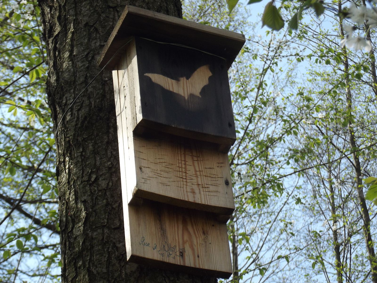 Birdhouse for Batman - My, Birdhouse, Forest, Batman, Trolling, Longpost