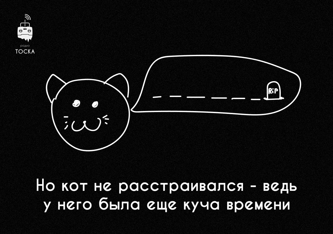 Не будь котом | Пикабу