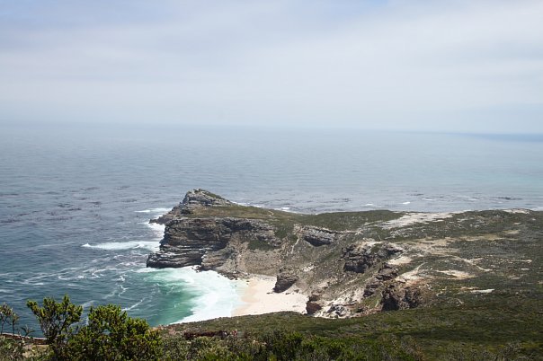 Cape of Good Hope - Моё, ЮАР, Фото, Страус, Панорама, Мыс доброй надежды, Длиннопост