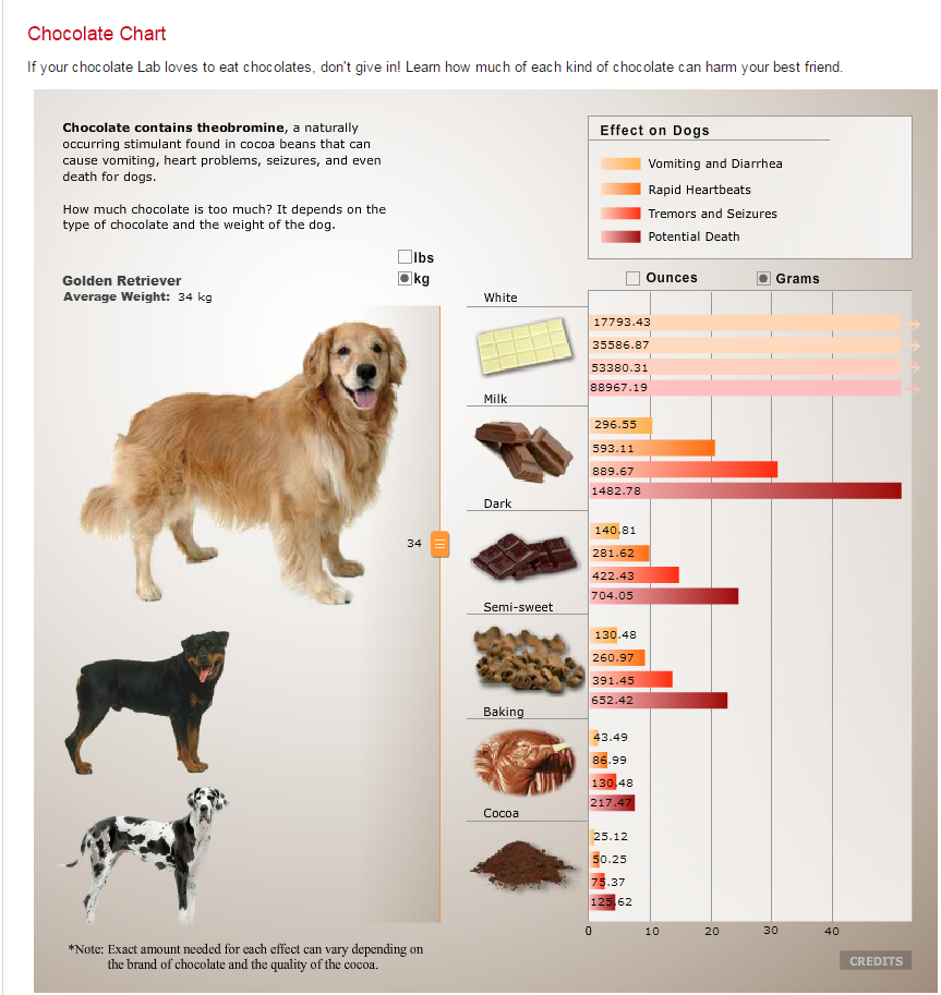 Токсичная еда для собак. #шоколад. | Пикабу