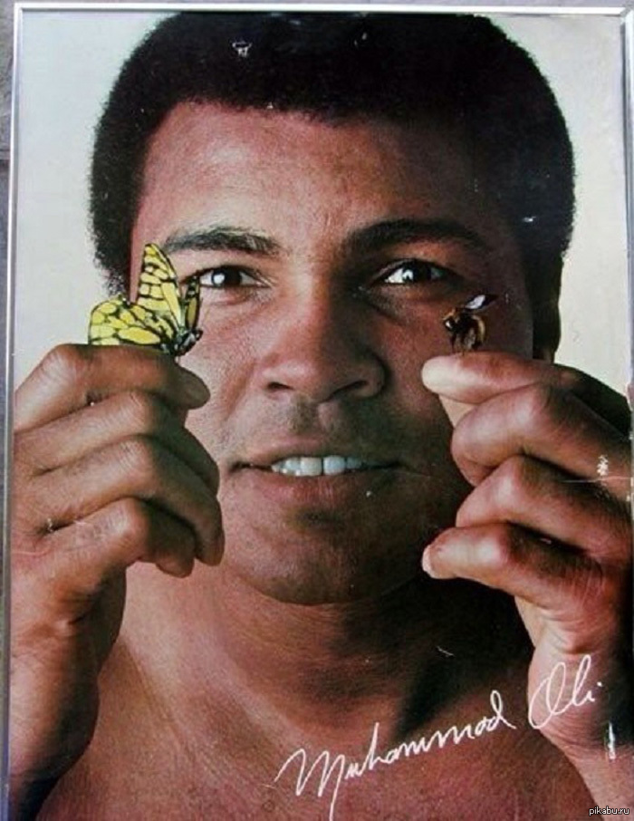 Stung like a bee - Mohammed Ali, Death, Died, Boxing, Champion