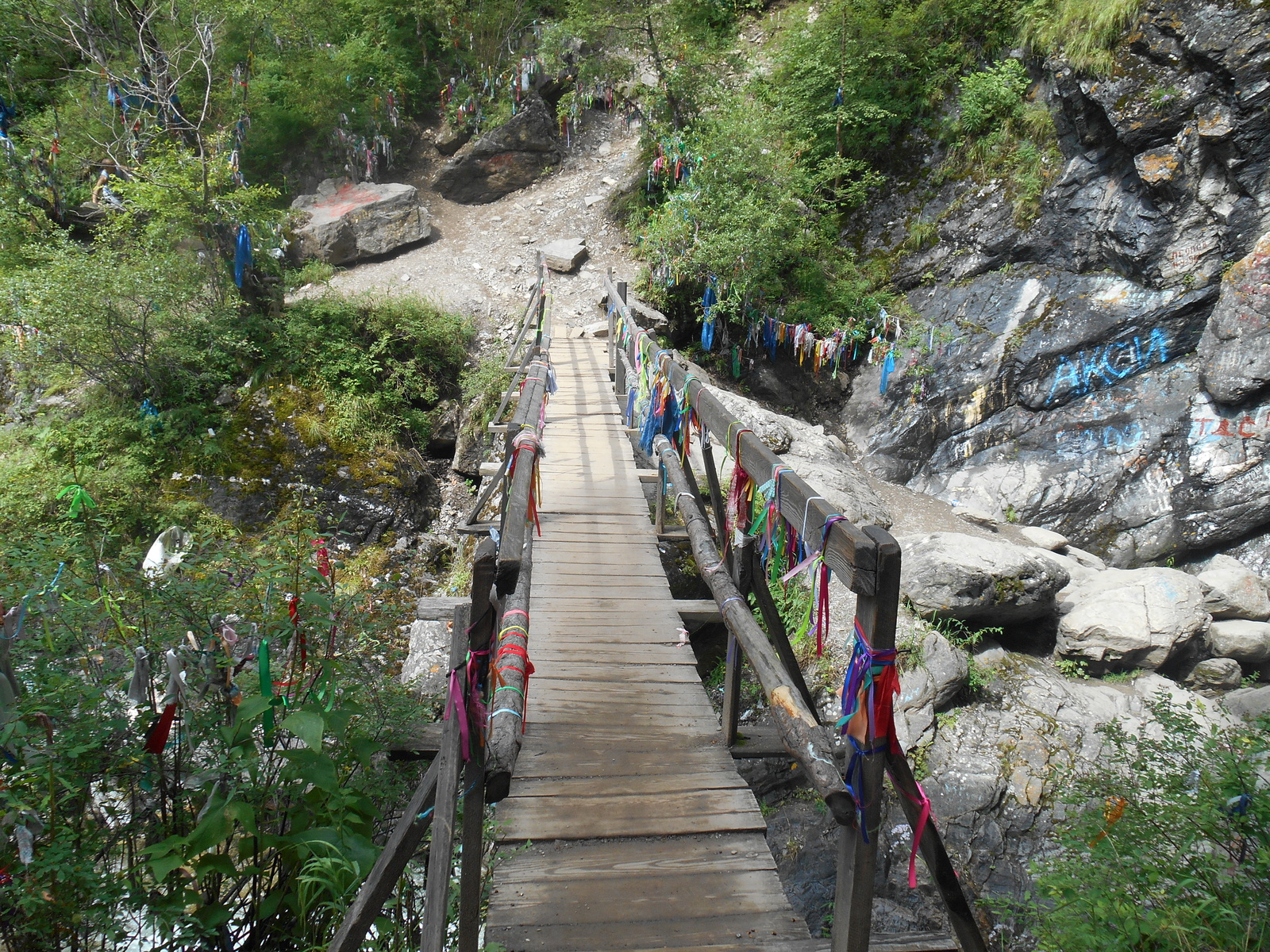 Аршан, Саяны, Бурятия. | Пикабу