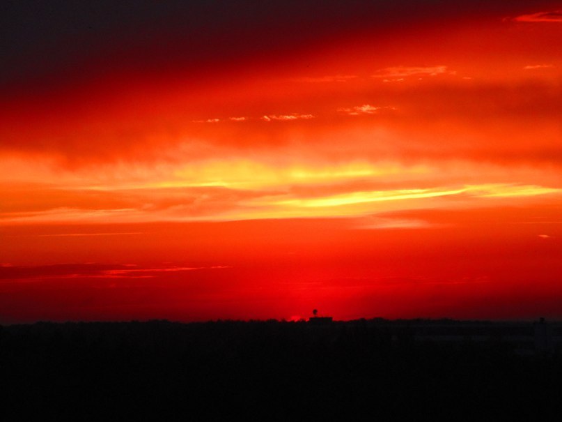 Алый закат | Пикабу