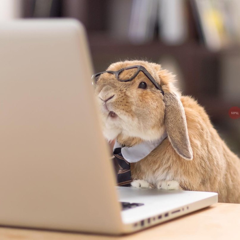 Когда уведел сколько нужно выучить к экзамену... | Пикабу