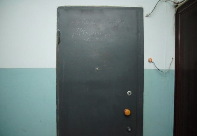 Металлическая Дверь В Квартиру Фото