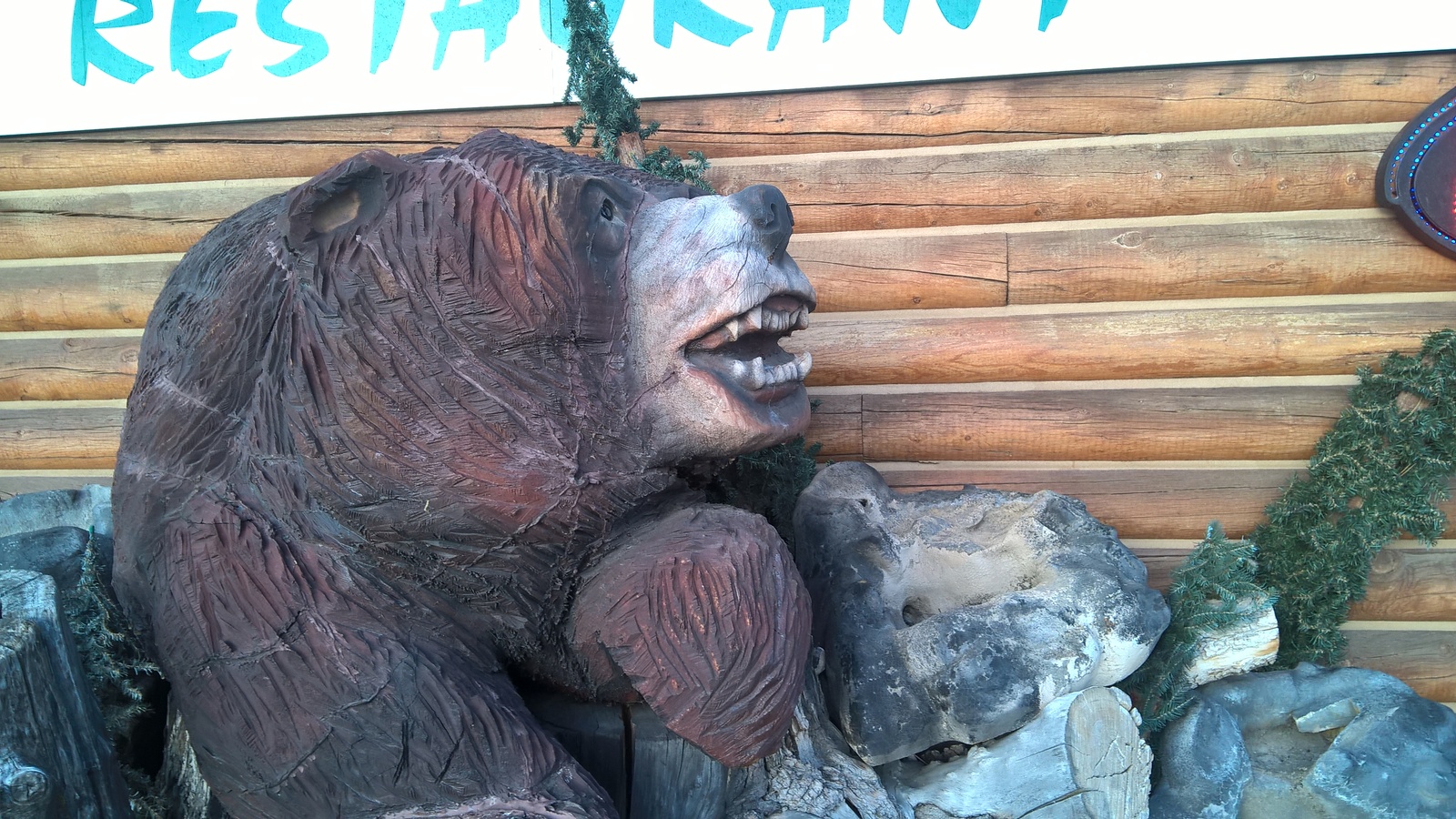 Do Not Climb On Bear - Моё, Юта, США, Фото, Медведь, Lumia 640 xl, Garden City, Bear lake, Медведи, Lumia 640