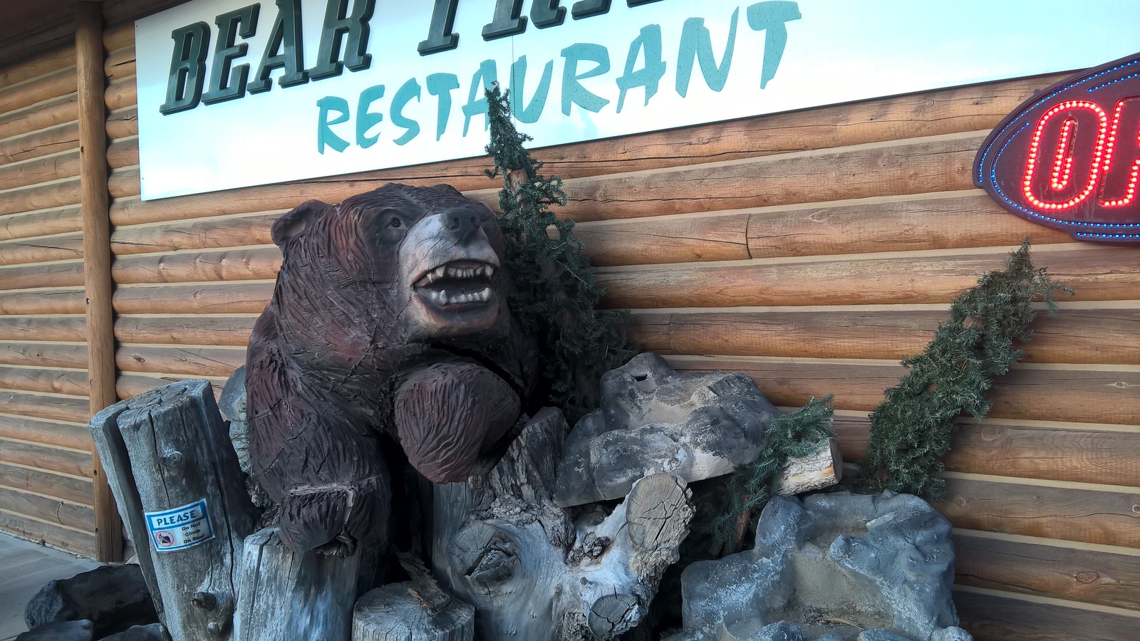 Do Not Climb On Bear - My, Utah, USA, Photo, Bear, , Garden City, Bear lake, The Bears, Lumia 640