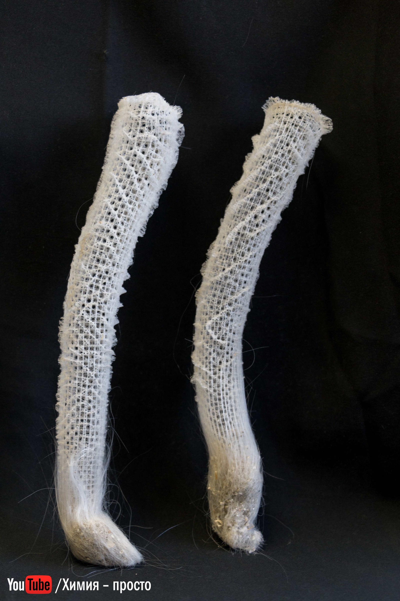 Кремниевый скелет | Пикабу