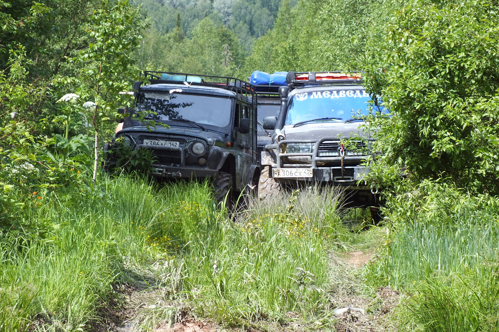 Route of Memory - Taiga breakthrough 2016 - My, Cruzak, Legend 306, Toyota Land Cruiser, Sheregsh, Jeep, Longpost