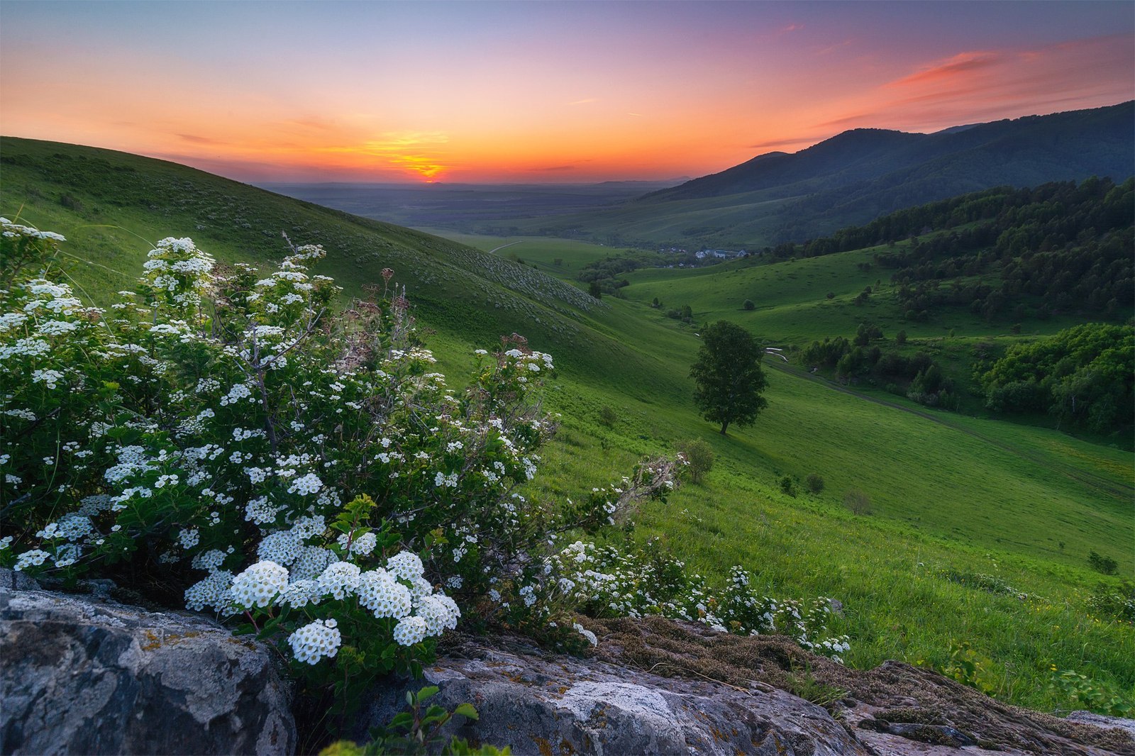 Виды Алтайского Края Фото