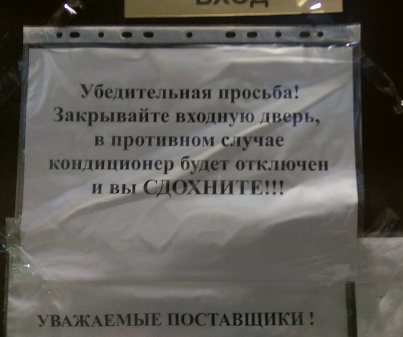 Когда никто не обращает внимание на твои слова | Пикабу