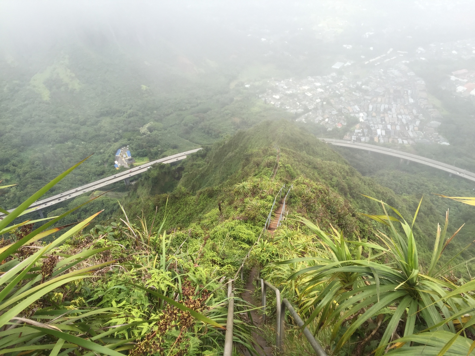 Stairway to Heaven (Haiku Stairs) - My, Hawaii, Haiku Stairs, stairway to Heaven, Stairway to Heaven, The mountains, Honolulu, Clouds, Longpost