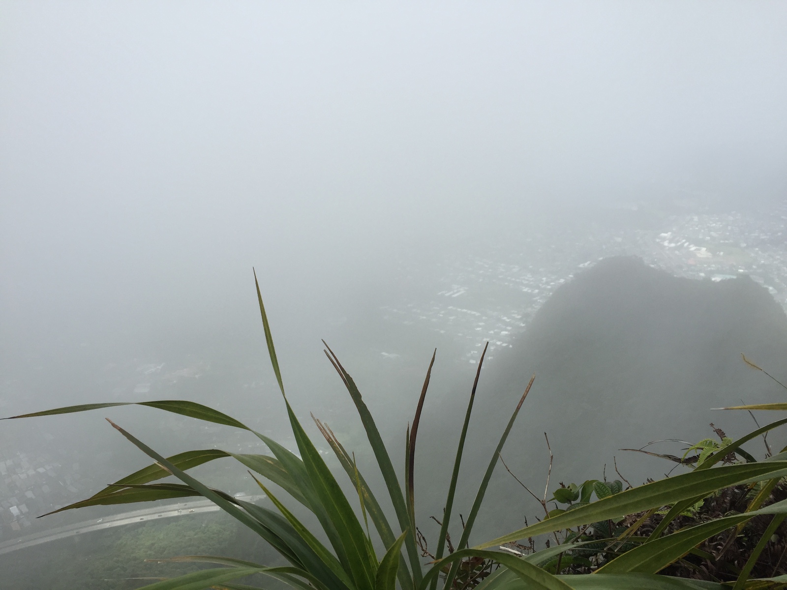 Stairway to Heaven (Haiku Stairs) - My, Hawaii, Haiku Stairs, stairway to Heaven, Stairway to Heaven, The mountains, Honolulu, Clouds, Longpost