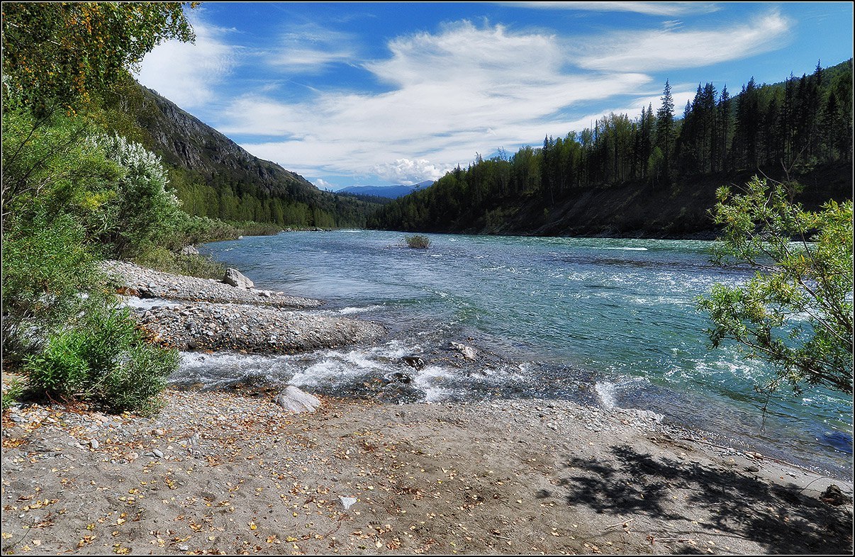 The Katun River and its tributaries - Katun, Mountain Altai, Russia, Summer, Nature, Go, Photo, The photo, Longpost, Altai Republic