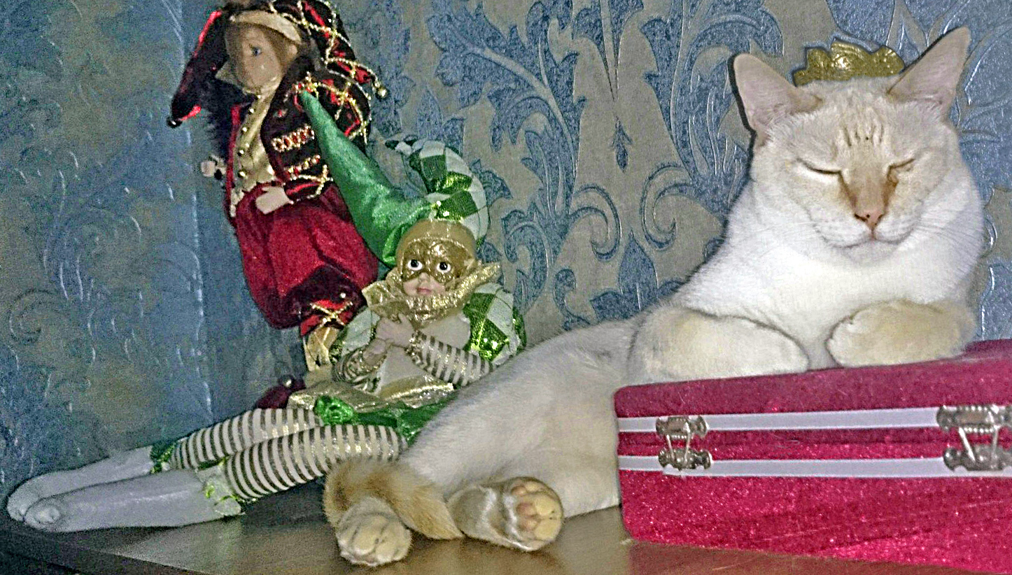 Король и шуты | Пикабу