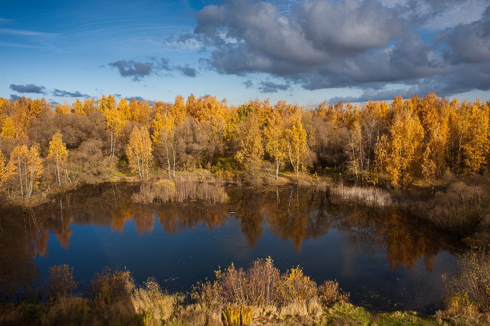 One pond, four seasons - Pond, Seasons, Photo, Longpost