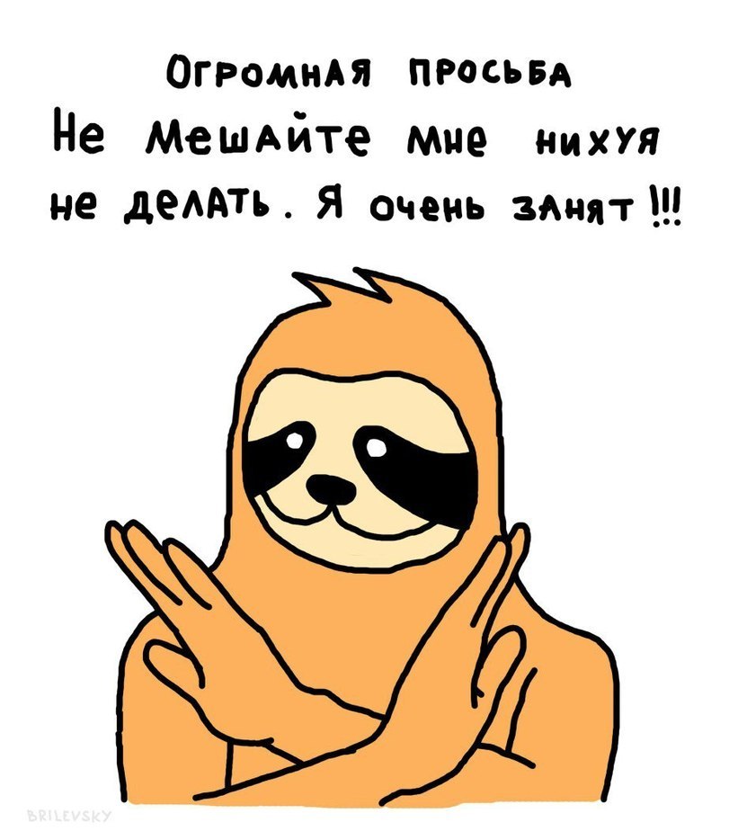 Ленивцы | Пикабу