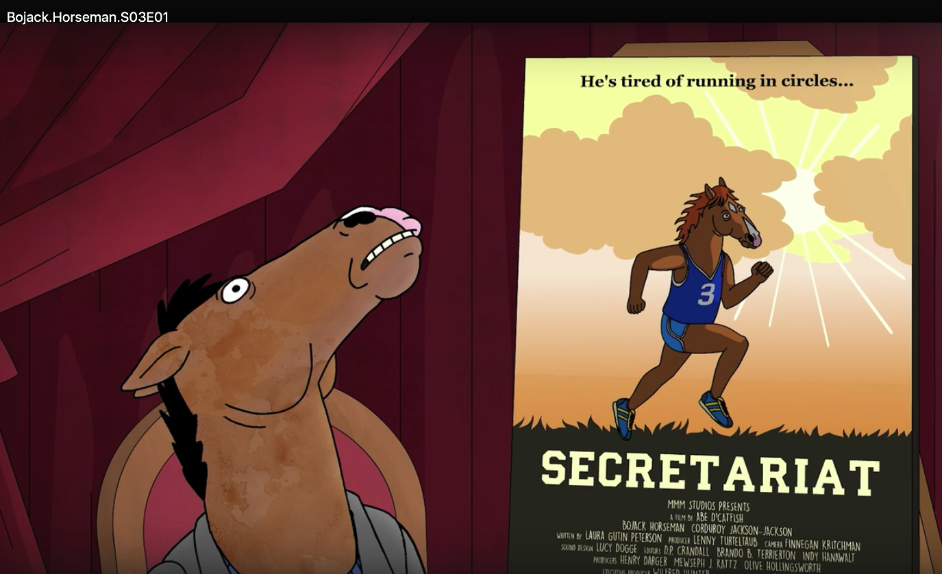 New Horse Bojack. - My, Bojack Horse, Cartoon network, Cartoons