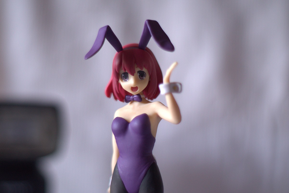 How I went to Tokyo #4: anime figures again - NSFW, My, Anime, Figurine, Bakemonogatari, Longpost, Figurines