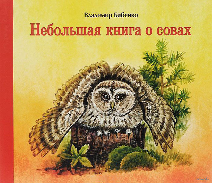 О совах и психотерапии | Пикабу
