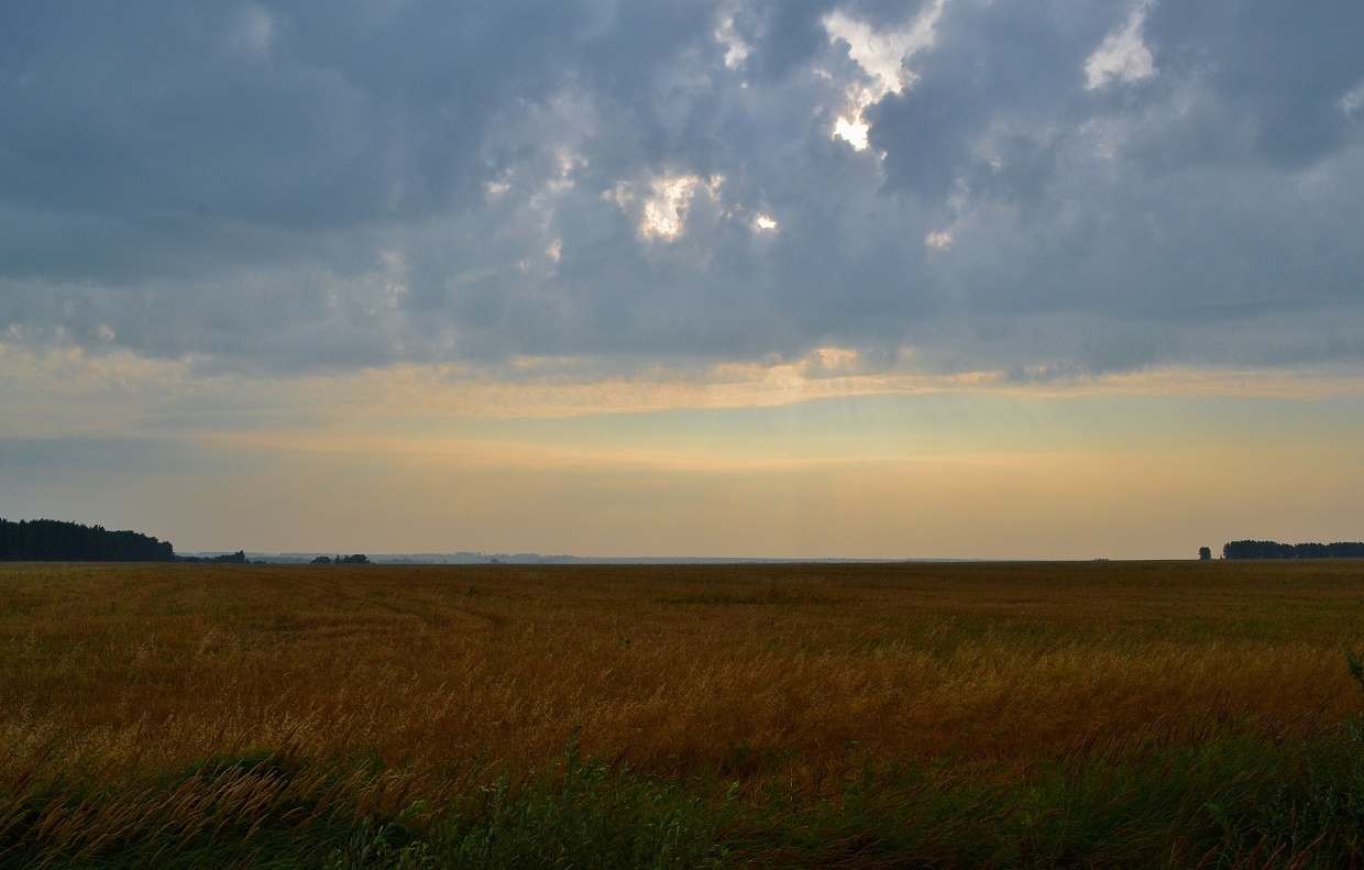 Похоже, что надвигается гроза. | Пикабу