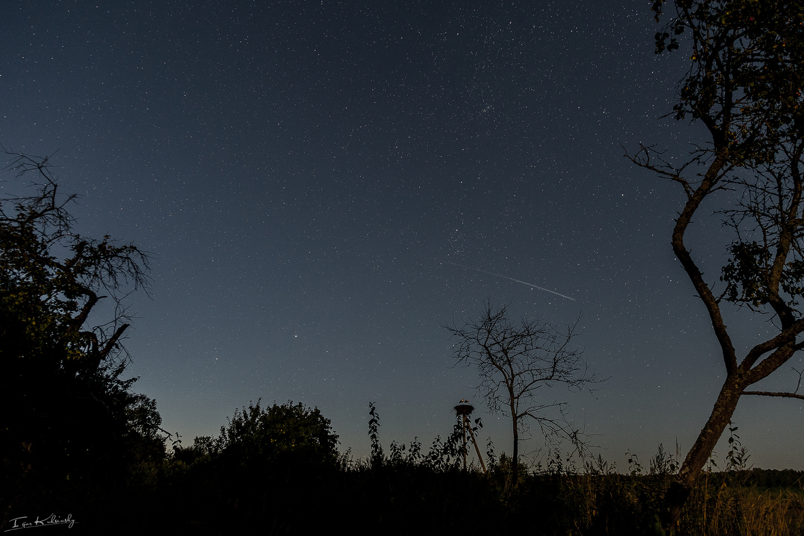 Звездное небо - Моё, Звёзды, Ночь, Аист, Canon 6d, Звезды