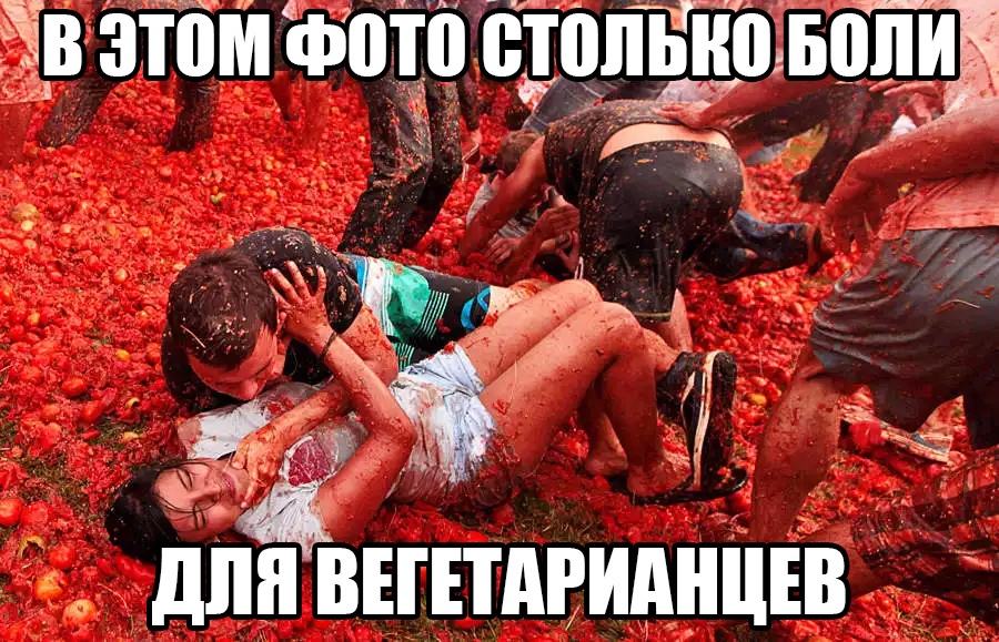 Tomatina - Vegetarianism, Humor, Spain, Tomatoes, Vegetables