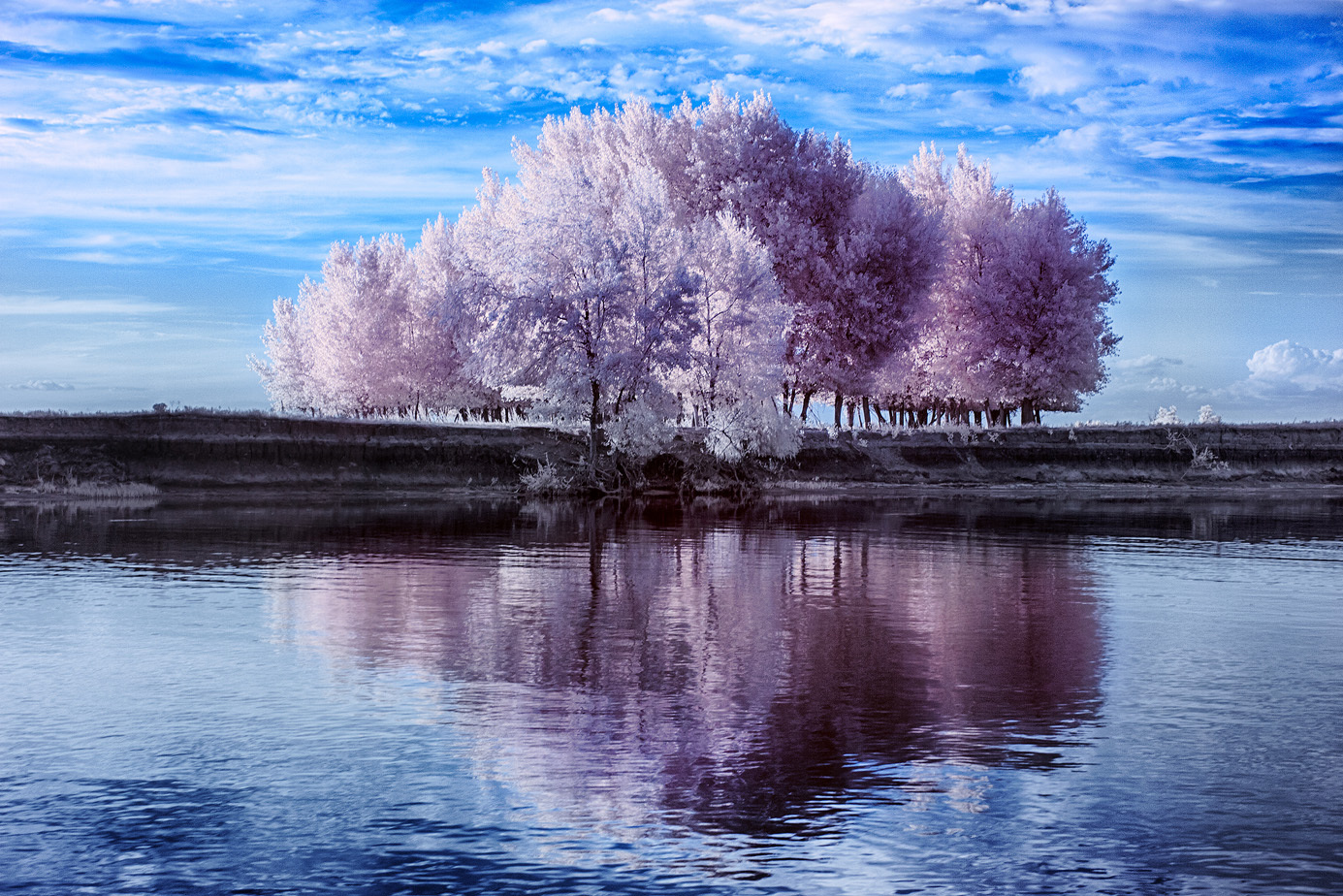 A couple of infrared landscapes - My, Photo, The photo, , Infrared, Infrared shooting