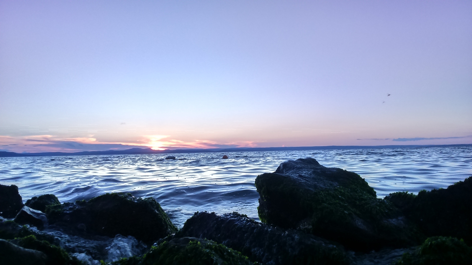 When you go beautifully into the sunset. - My, The bay, Vladivostok, Sunset, Living water