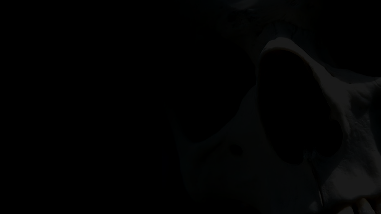 Skull Wallpaper UHD 3840X2160. Author's Desktop wallpapers - My, Scull, , Desktop wallpaper, Wallpaper, Art, HD, Darkness, Longpost